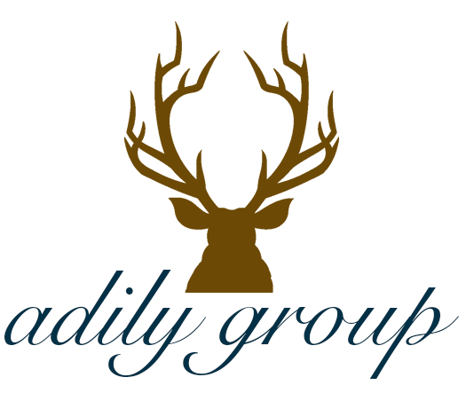 The Adily Group, LLC